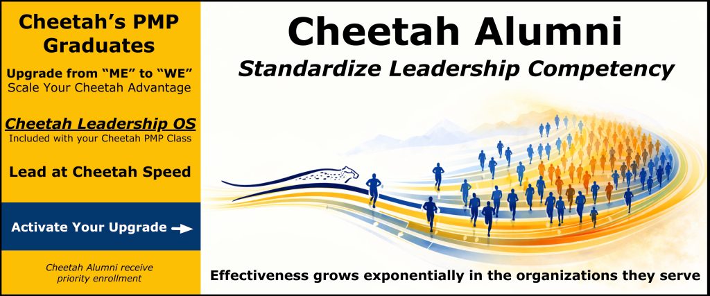 Cheetah Alumni - Scale The Cheetah Advantage