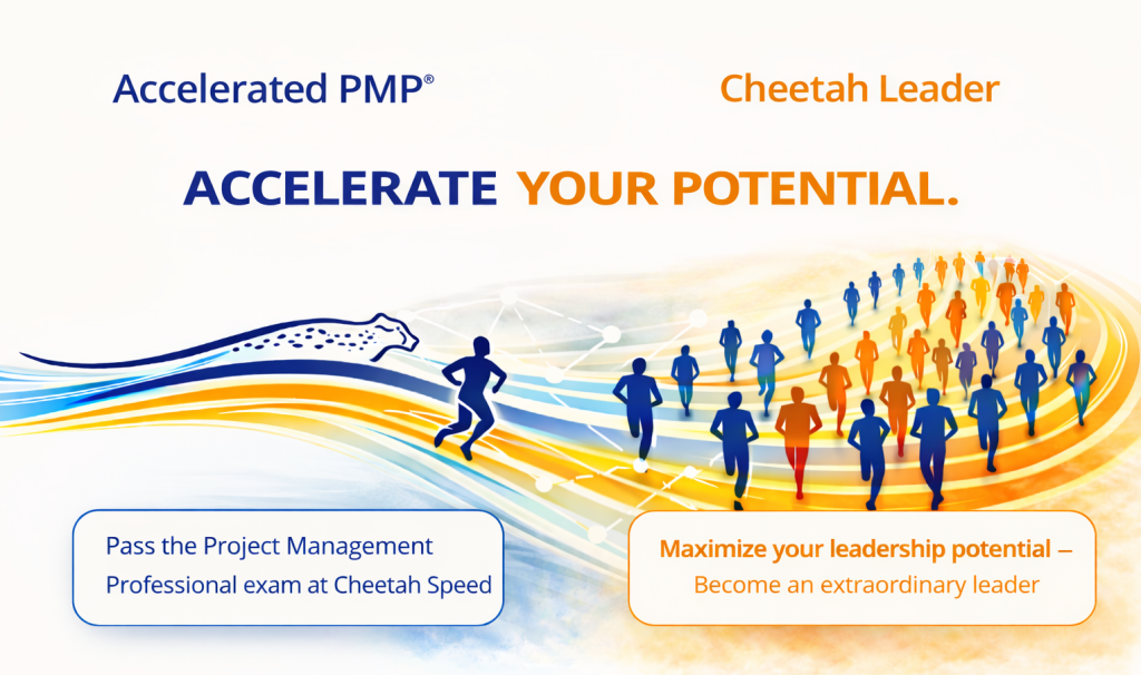 PMPand cheetahleaderheroimagemaincheetahsite